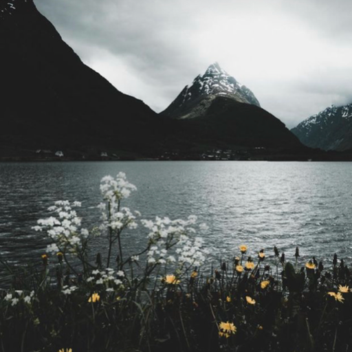 green-eyed-tiger:mountain-lover77:Always