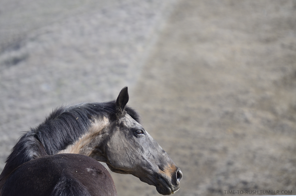 Letting Go Of The Reins