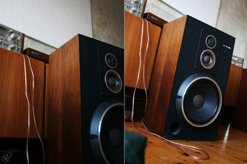 Foro Audio y Video