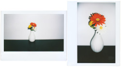 Faux flowers in vase on a black table and