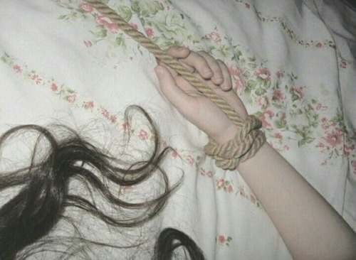 wolfeebby - ˚｡⋆୨୧˚angel cake˚୨୧⋆｡˚