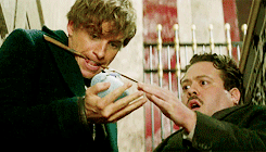 sirredmayne:- now, there’s absolutely nothing for you to worry about.- tell me, has anyone ever beli