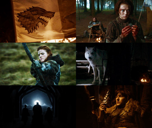  This War of Five Kings means nothing. The true war lies to the north, my king. Death