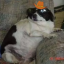 yeeyeecowboyclub
