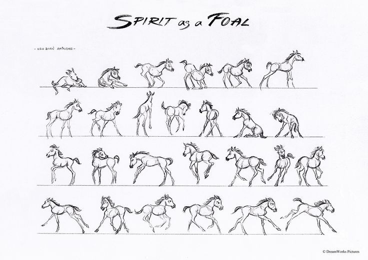 2dtraditionalanimation:  Spirit - Carlos Grangel 