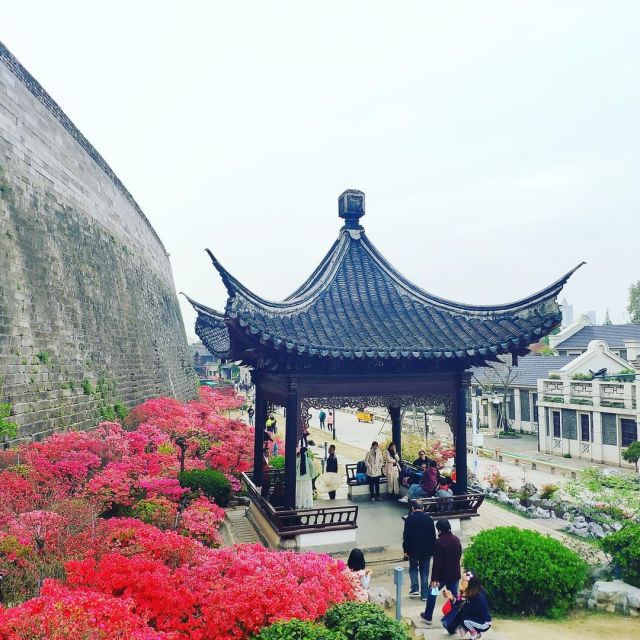 杜鵑花tumblr Posts Tumbral Com 杜鵑花tumblr Posts Tumbral Com