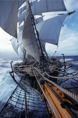 maya47000:  Sailing Kruzenshtern 