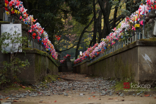 kokorojapanreisen:Am Zôjôji, Tôkyô. 11.2013