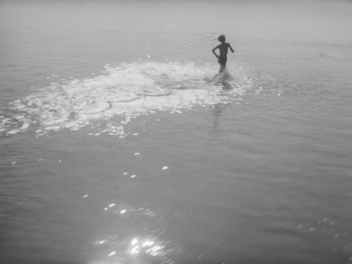 365filmsbyauroranocte:Three childhoods, three endings:  -Les quatre cents coups (a.k.a. The 400 Blow