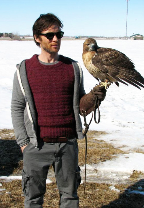 controlyourface: controlyourface:  A ginger bearded Cillian and his equally ginger falcon Mohave on 