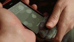 togifs:  iPhone 5s Cat Paw Test