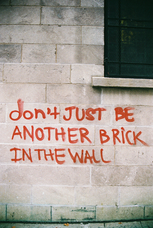 thegreatbudah:  Be a window