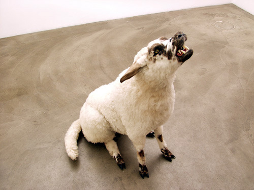 zooophagous:  pussylatte:  “A wolf disguised as a sheep”  Deborah Sengl  I love it