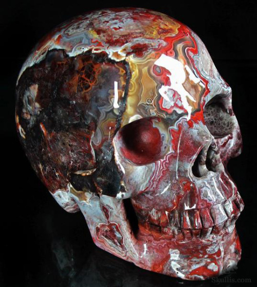 devidsketchbook:GORGEOUS CRYSTAL SKULLSLarge Geode 4.1” Red Crazy Lace Agate Carved Crystal Sk