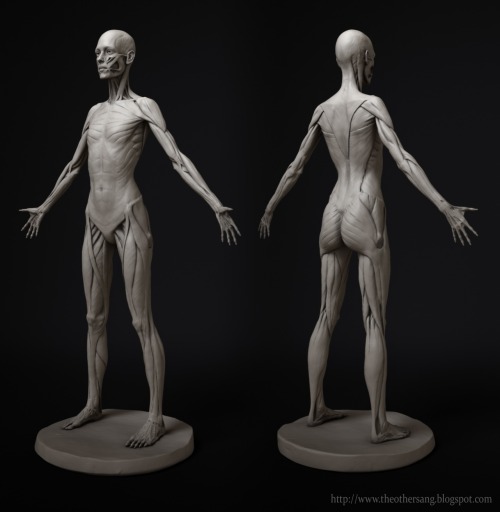 fucktonofanatomyreferences:  fucktonofanatomytutorials:  Uber-fuck-ton of 3D female anatomy references.  (Reblogging ‘cause it’s not showing on my dash.) 
