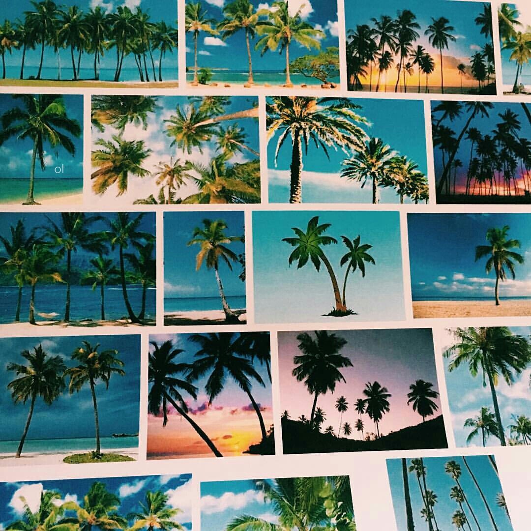 Tropical