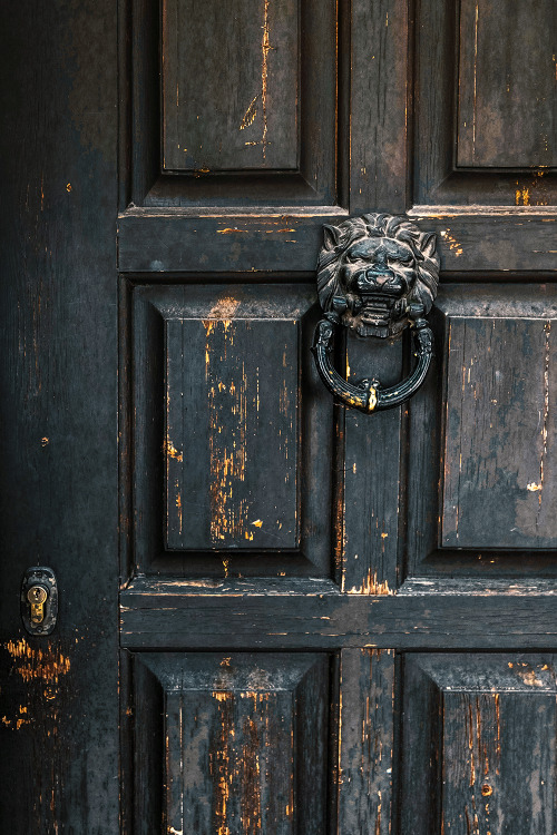 Old Door and Antique Lion Knocker || Arachova, Greece