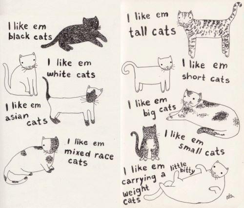 seoulost: clubmink:  whiskeyandnude:  Cats cats cats  i love cats  we all know which one i am 