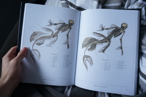 viszh:  wlandy13:  clepse:  One of me favourite books, a Gray’s Anatomy for mythological creatures.The Resurrectionist // Eb Hudspeth  I need this book so much D:  viszh mair-animation-illustration tupperwits  ho duuuude