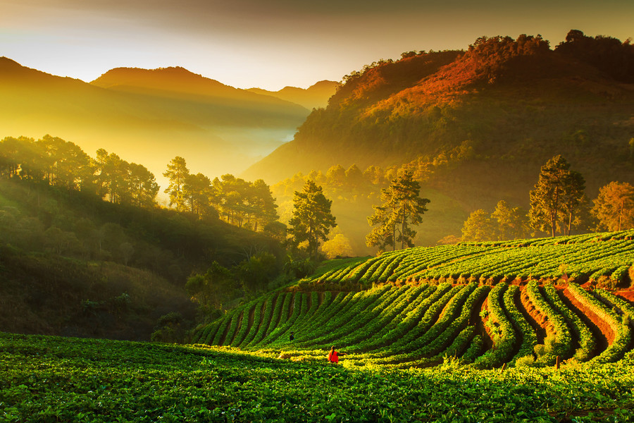  AngKhang by itjung  wow