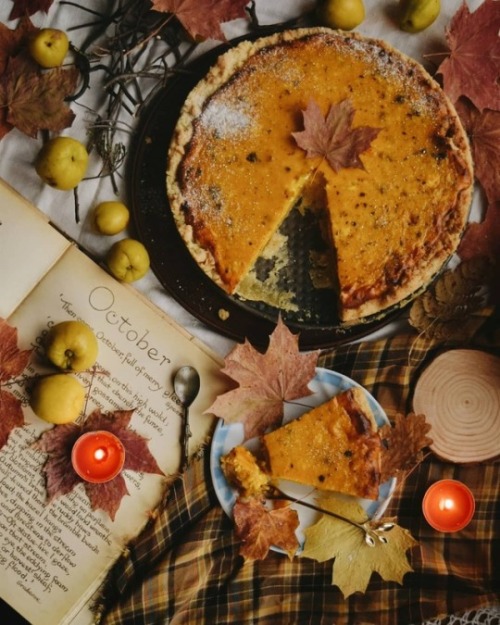 Cozy Autumn Blog