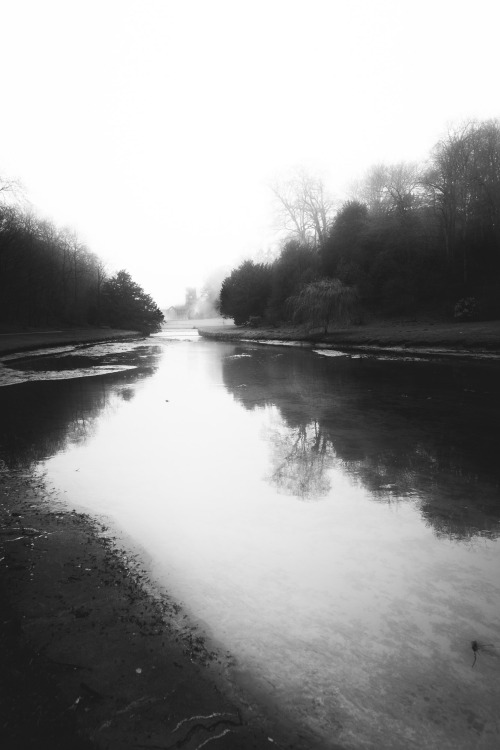 freddie-photography:  Fountains Abbey, YorkshirePhotographed with a Sigma 24mm F/1.4 Art: Sigma-imaging-uk.comBy Frederick Ardley: Freddieardley.com