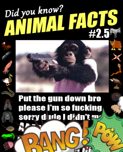 animal facts