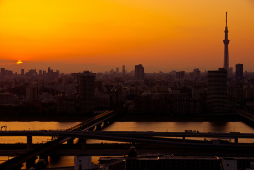 Tokyo in the evening (東京の夕方) by christinayan01 on Flickr.