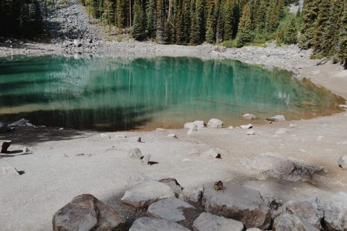 natvrist:

lifeof-ty:This planet is full of treasures, like this crystal clear lake I found 7,000 feet up in a mountain. Open your eyes to the magic that surrounds you. Let the universe feed your soul. - Instagram @tymurf

nothing but nature 