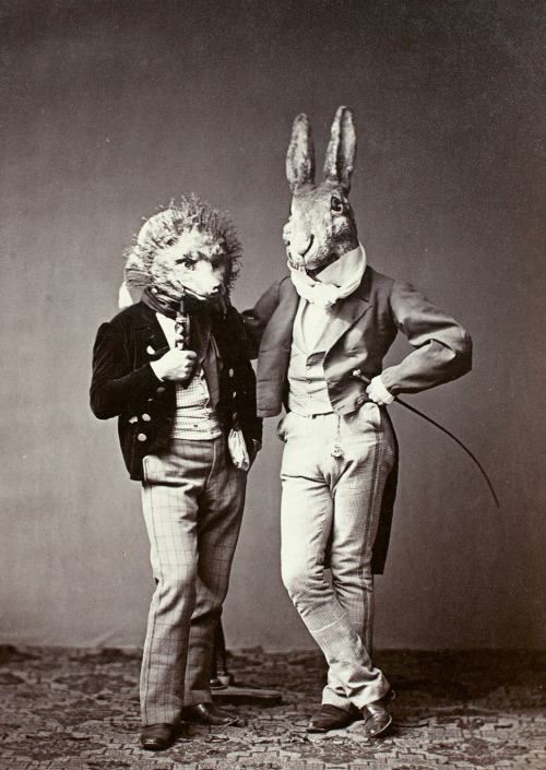 The hedgehog and the hare fancy dress for fairy tale ball (Joseph Albert, Munich, 1862)