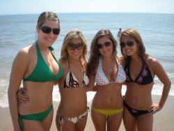bikiniboobsbutts:    Only if it Wiggles and Jiggles and Fits in a Bikini  