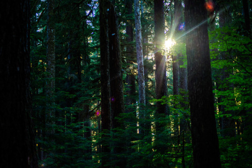 Olympic National Park, WA