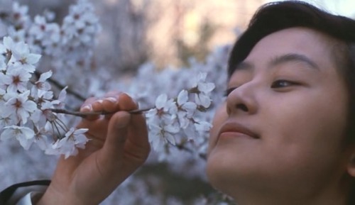 The Cherry Orchard (1990)dir. Shun Nakahara