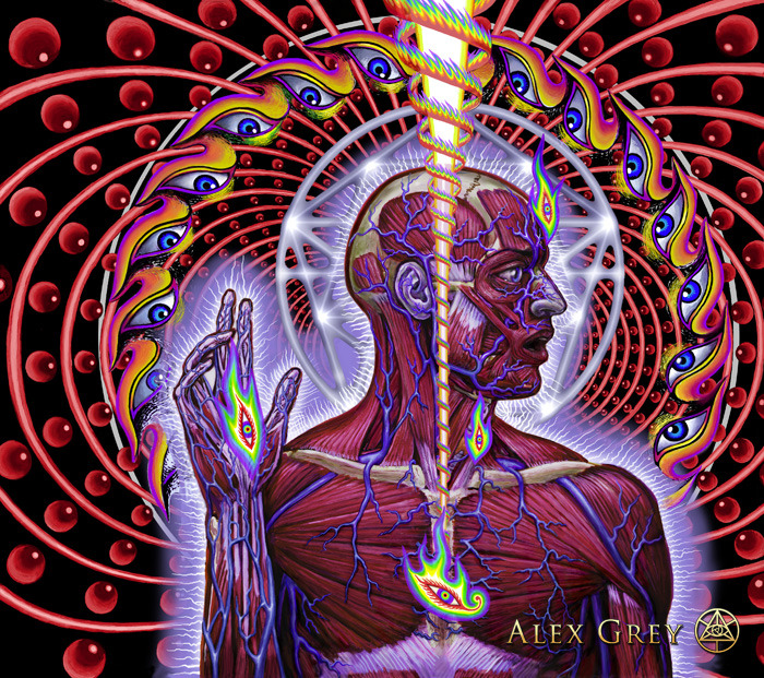 fuckyeahalexgrey:  Alex Grey - Progress of the Soul pt. 70“Dissectional Art for