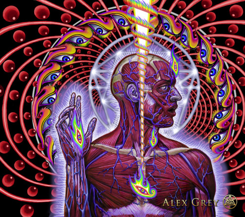 fuckyeahalexgrey:  Alex Grey - Progress of the Soul pt. 70“Dissectional Art for Tool’s Lateralus CD”, 2001, Ink on Paper, Acrylic on Acetate.   TOOL