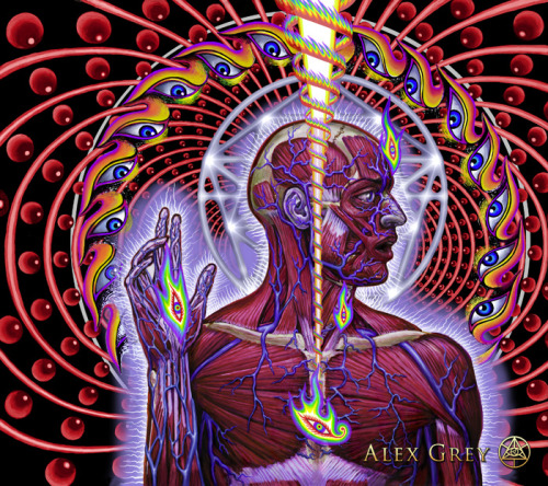 XXX fuckyeahalexgrey:  Alex Grey - Progress of photo