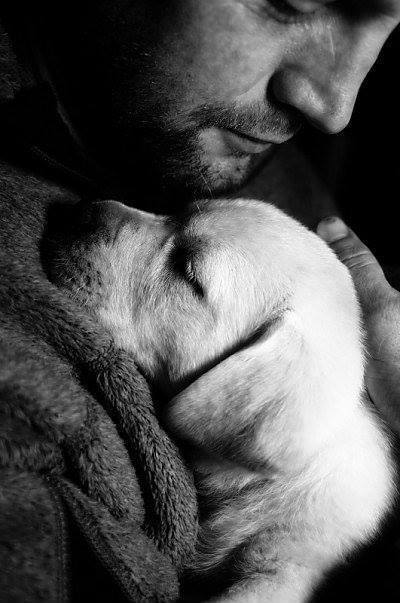 Vida & Life