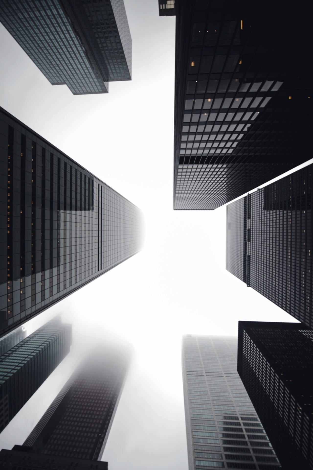 vistale:  Toronto Fog | via  