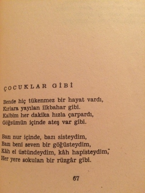 cycleoftolstoy