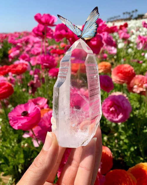  By Sugarstudiocrystals