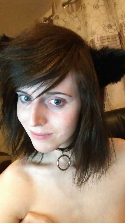 xcrossyuki:  Kitty times! Nya~ ♥