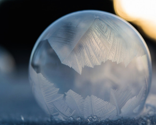 mymodernmet:  Each winter, when the temperature dips into the negatives, Washington-based photographer Angela Kelly takes advantage of the frigid weather and blows bubbles that freeze and form beautiful patches of ice crystals. The breathtaking results,