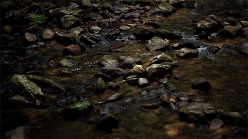 lori-rocks:  the riverbed,