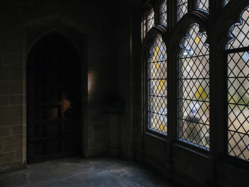 Light fall in Fitzalan Chapel, Arundel Castle Grounds, Arundel