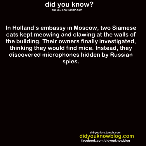did-you-kno:  Source