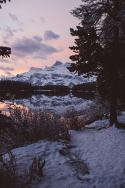 teapalm:  (Tasha Marie) | Sunrise over Two Jack Lake 