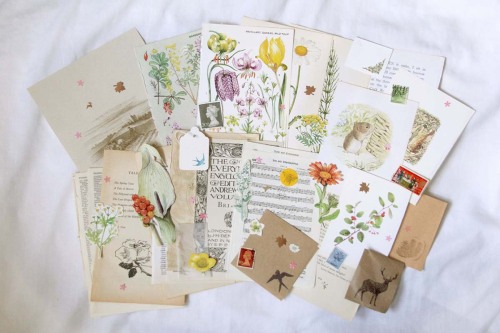 edgeofthefields: Vintage Nature Themed Ephemera Pack on my etsy!