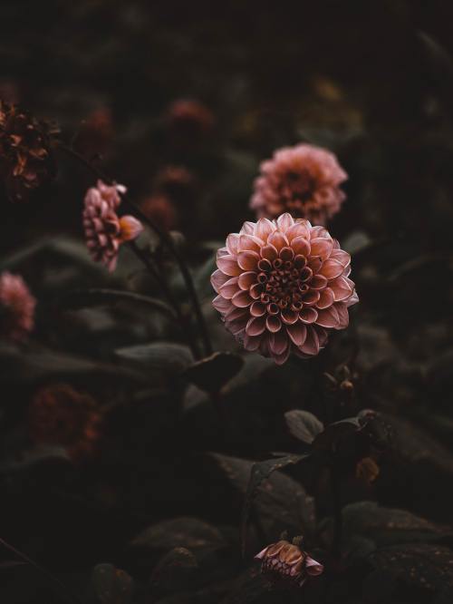 expressions-of-nature:by Chrissa Giannakoudi