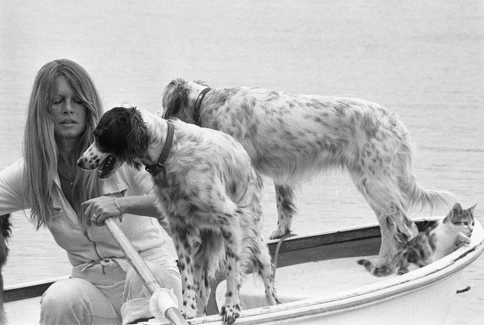 Brigitte Bardot and her dogs (and kitten) by Tony Frank, 1970s