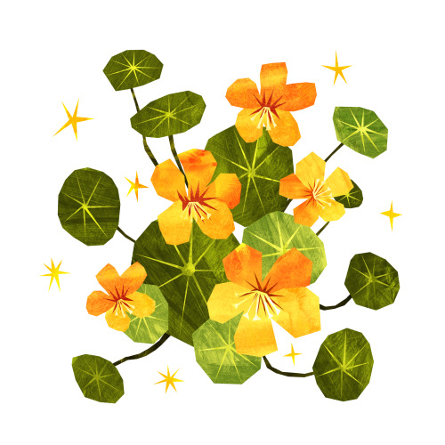 byjessicaelena:Some Nasturtiums made with a collage-like technique but digitally! 